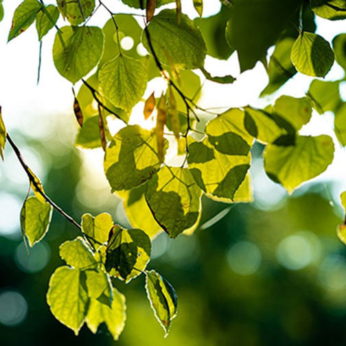 Accelerator Science and Engineering Traineeship Program