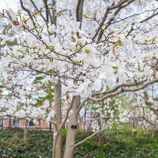 Apply to Engineering (Secondary Admission)