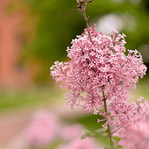 Scholarships and Financial Resources 