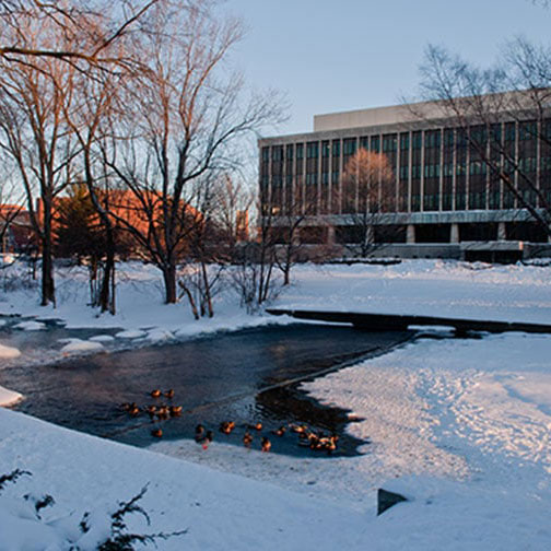 Graduate Degree Programs