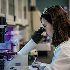 Undergraduate Research