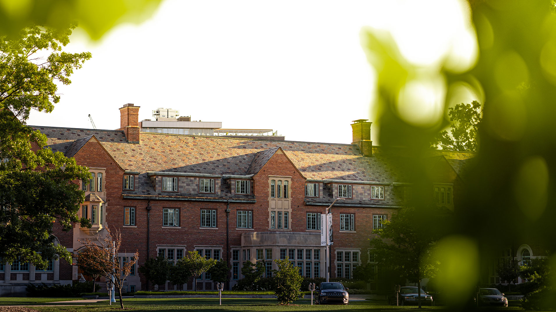 Building peaking between trees