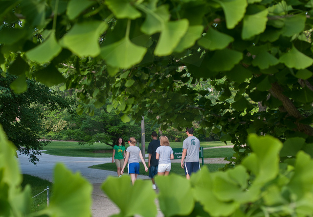Future students on an MSU New Student Orientation tour