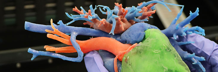 Close-up of hands holding a 3D printed heart that are the colors green, orange and blue