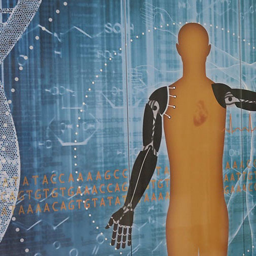 Human figure with a DNA strand next to him