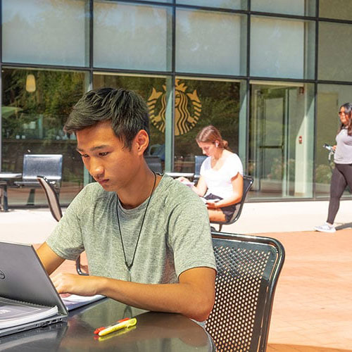 Student sitting outside on their laptop