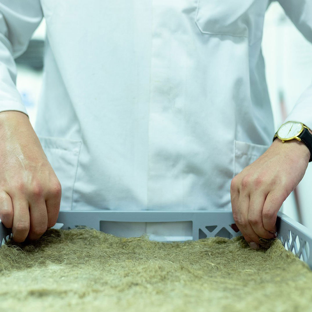 Person compacting a substance