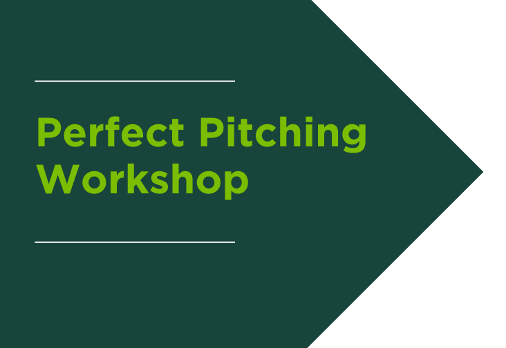 Perfect Pitching Workshop graphic
