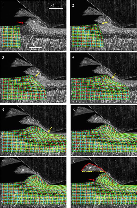 image-sequence-showing-particle-formation-by-prow-detachment-at-periodic-intervals-for-a