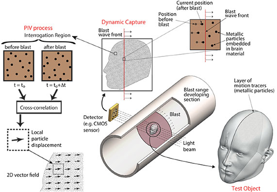 Dynamic measurement with Ultra-high-speed imaging while the blast wave is crossing the test object