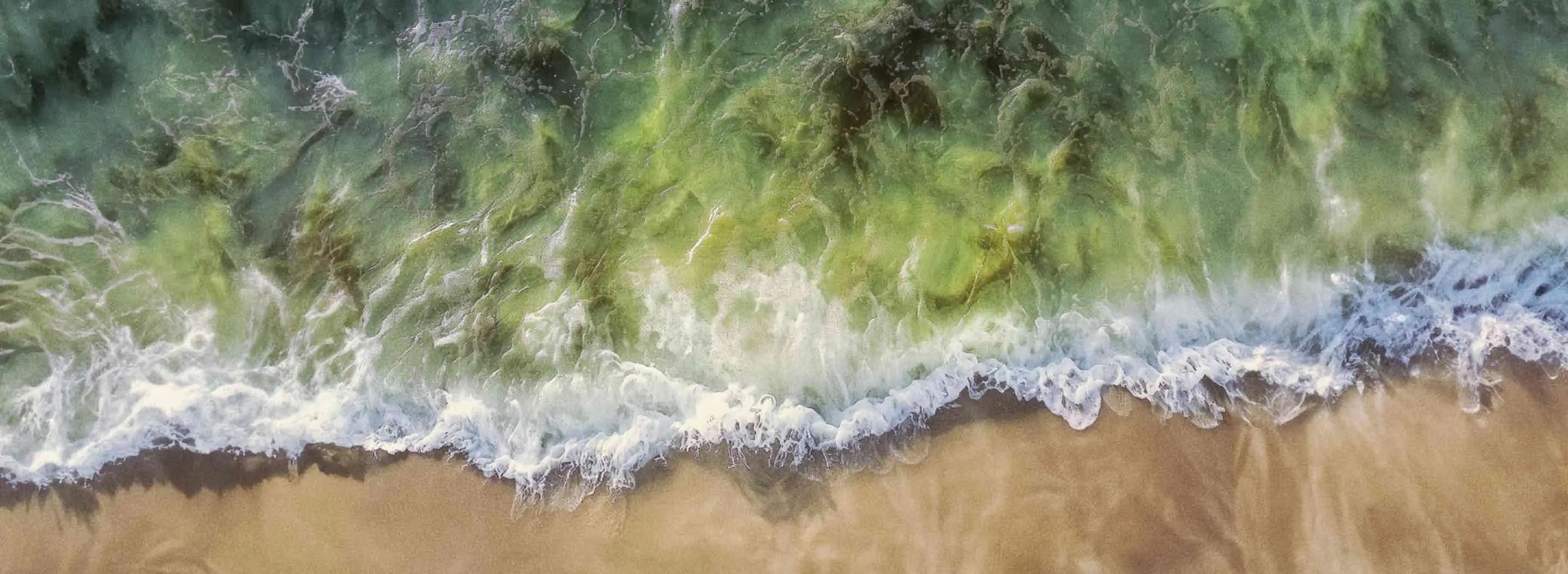Aerial view of beach waves
