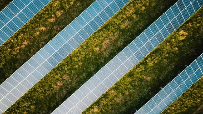 Expert: Solar panels help farmers save water, earn income
